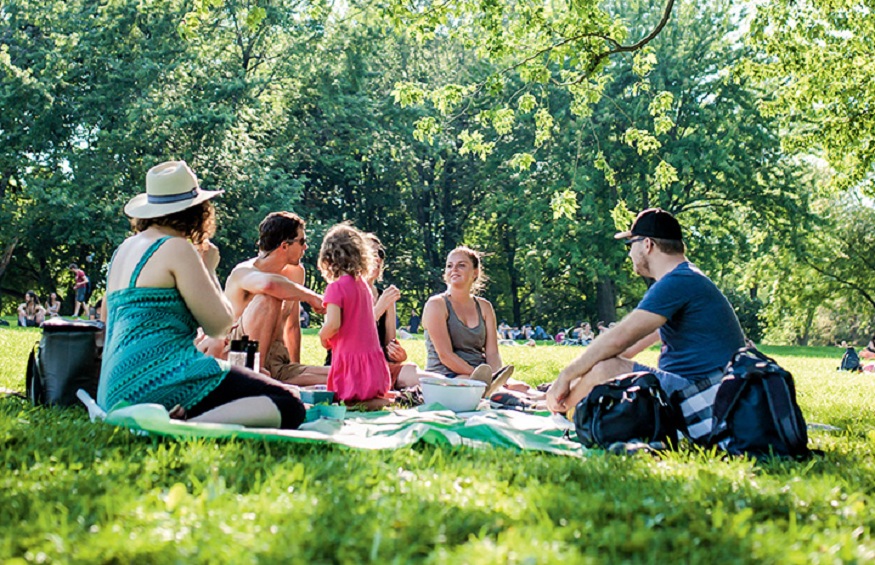 6 tips for organizing a picnic
