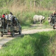 Chitwan Jungle Safari Tour