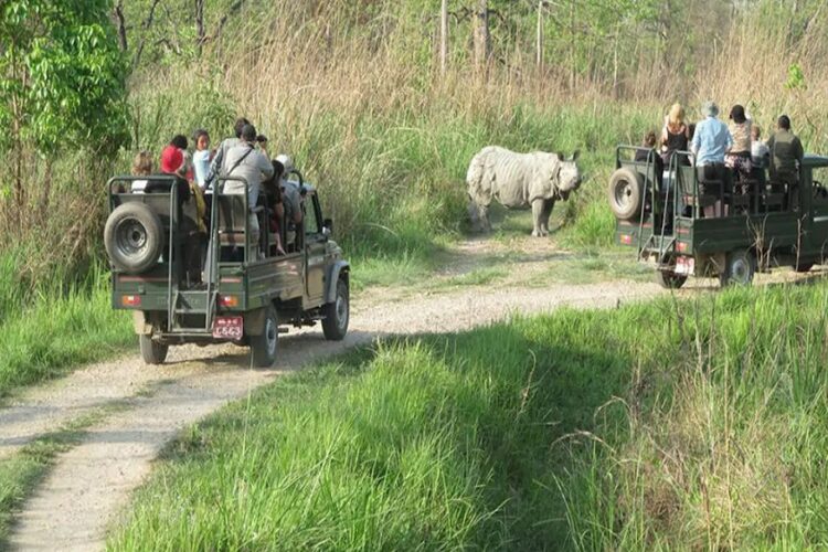 Chitwan Jungle Safari Tour